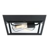 Westinghouse Fixture Ceiling Outdr Flush-Mount 60W 2-Light Peterson 12In Txt, Black Clear Glass 6121900